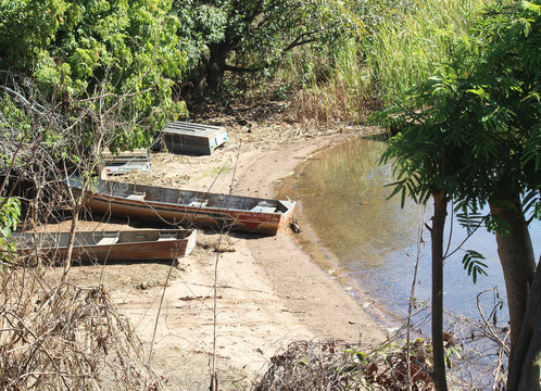 Canoas paradas sobre a areia de uma praia as margens de um lago, com &aacute;rvores em volta.