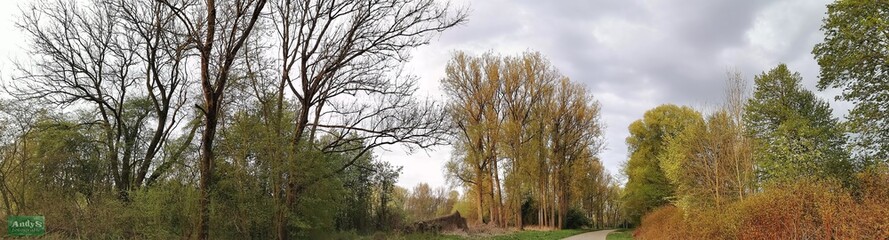 Landschaft; Obst; Blumen; Landwirtschaft; See; Weiher; 