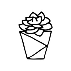 Doodle succulent in a faceted pot. Scratchy hand-drawn succulent with poly flower pot. Black outline of a home plant isolated on a white background. Cute illustration with polygonal interior element