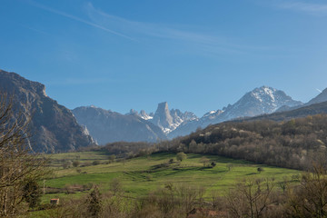 pico montaña con pradera