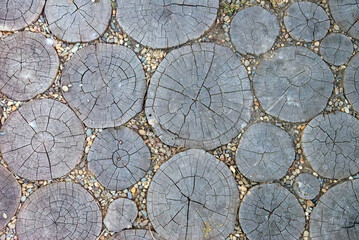 Background image of wooden stump top view
