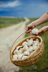 Basket with beautiful handpicked edible parasol mushrooms with a rural road in the background.