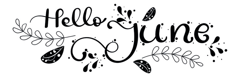 Hello June. JUNE month vector with ornaments and leaves. Decoration floral. Illustration month June