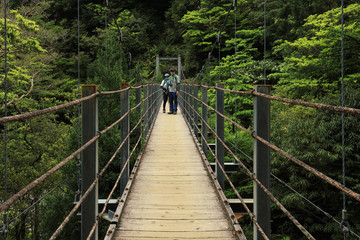 Fototapeta na wymiar wooden bridge in the forest
