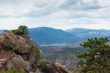 Fototapeta na wymiar Colorado mountain landscape with trees.