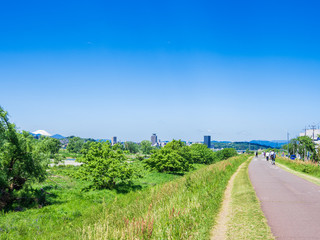春の多摩川と富士山