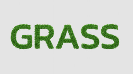 Grass. Word created with grass texture on white background. 3D render