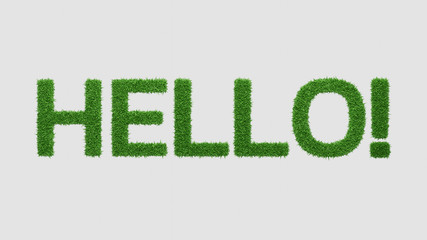 Hello. Word created with grass texture on white background. 3D render