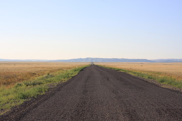 Fototapeta na wymiar Empty dusty road in the steppe