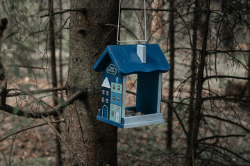 birdhouse weighs on a branch in the forest