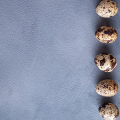 Small quail eggs on dark background with copy space. Top view
