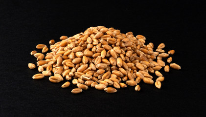 Pile of wheat grains on black background