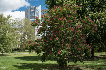 cityhochhaus leipzig im fr&uuml;hling