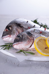 Fresh raw sea bream fish decorated with lemon slices, herbs on gray background. Healthy food concept, top view, copy space