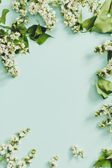 Spring flowers. Frame of twigs of blooming white lilac on a blue background. top view. place for text