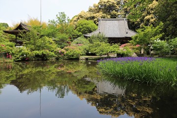 花の寺　長岳寺