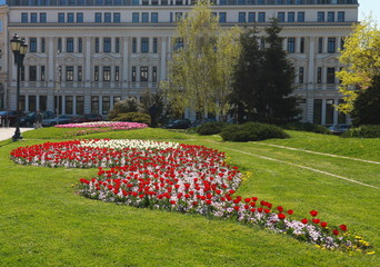 Beautiful blossomed flowers of Kniaz Alexander I Square in  downtown of city Sofia