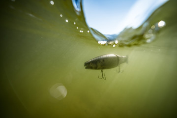 Underwater Swimbait