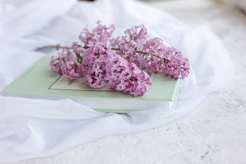 Lay Flat book, the branch of lilac. Postcard