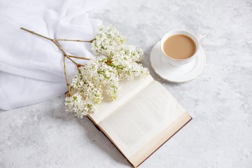 old book branch of white lilac. Greeting card good morning