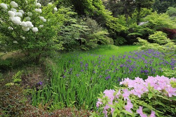 花の寺　長岳寺