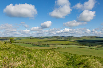 Obraz premium Looking out over a green South Downs landscape from Kingston Ridge
