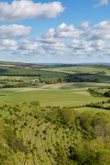 Naklejka premium Looking out over a green South Downs landscape from Kingston Ridge