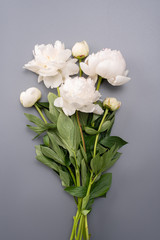 Bouquet of white peonies on a gray background.