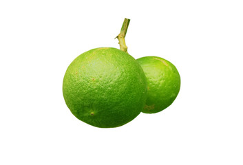 
Green lemons insolated on a white background
