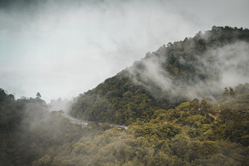 mist over the mountains