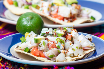 Mexican fish ceviche with crispy fried tortillas