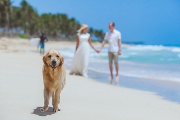 Wedding romantic couple on the beach in Dominican republic, Punta Cana  