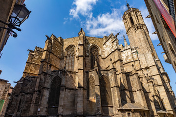 Fototapeta na wymiar Barcelona Cathedral in Gothic quarter, Catalonia, Spain