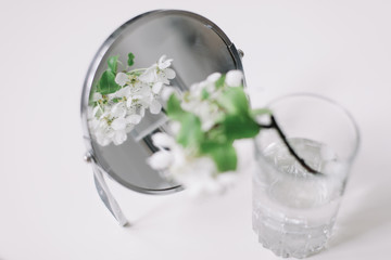 Spring still life. branch with white flowers of cherry in a vase on white background. Place for text. Concept of spring or mom day