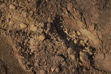 Imprint of shoes on the ground