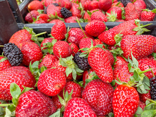 Fresh ripe perfect strawberry - Food Background. Crate of organic farm strawberries at farmers market.