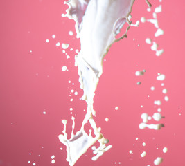 Fototapeta na wymiar Splashing milk on a pink background.