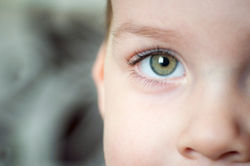 beautiful view of a little boy