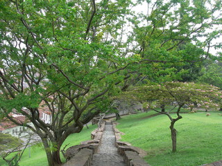 Fototapeta premium Green park in Cali Colombia, a perfect place to go jogging