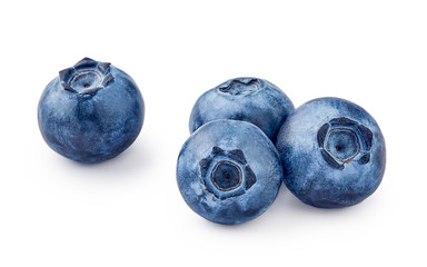 Fresh blueberries isolated on white background.