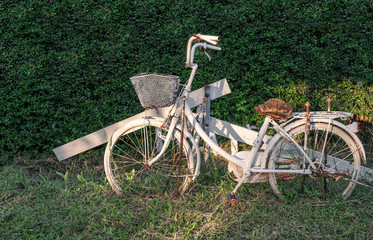 Fototapeta na wymiar Antique white bike collection on green background