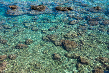 Fototapeta na wymiar Beautiful stones in the clear water of the Mediterranean Sea