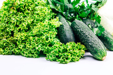 lettuce leaves cucumbers and parsley on a white background