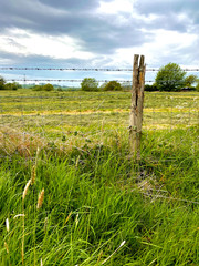 fence and grass