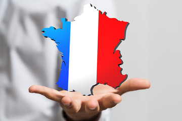 3d Digital France map country illustration