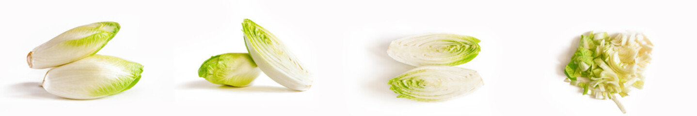 Collection of chicory isolated on a white background