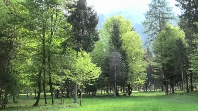 suoni colori della primavera prealpina