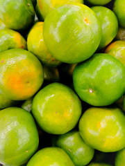 Beautiful texture fresh lemon orange lime tangerine and grapefruit background, fruit orange pattern