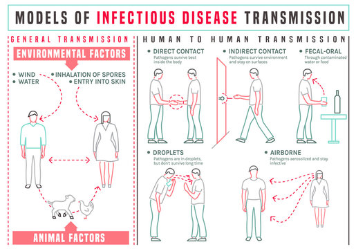 Disease transmission infographics