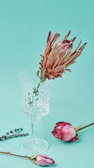 Proteus flower and rose with a glass on a turquoise background